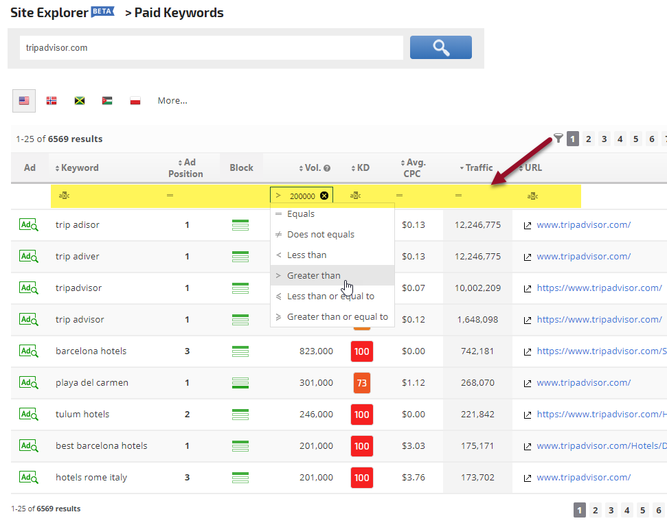 Site Explorer Paid Keywords report filters